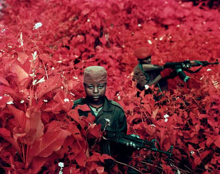 Richard Mosse, wojna w Kongo, zdjęcia Kodak Aerochrome