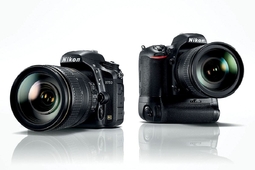 Nikon D750 - uniwersalna i kompaktowa pełna klatka