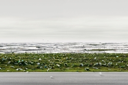 Andreas Gursky - cichy rekordzista